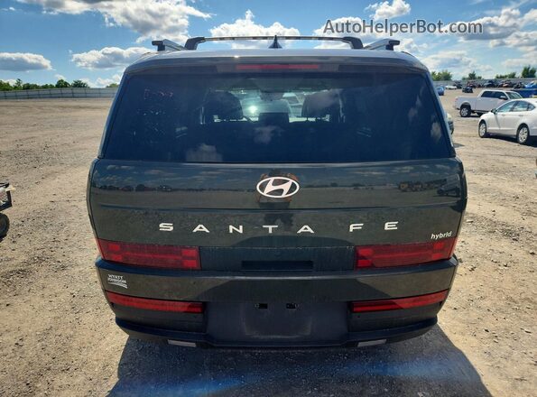 5NMP24G15SH056792 2025 HYUNDAI SANTA Зеленый Вид сзади