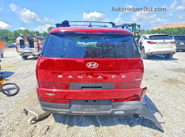 5NMP24G17SH034762 2025 HYUNDAI SANTA Maroon Հետևի տեսք