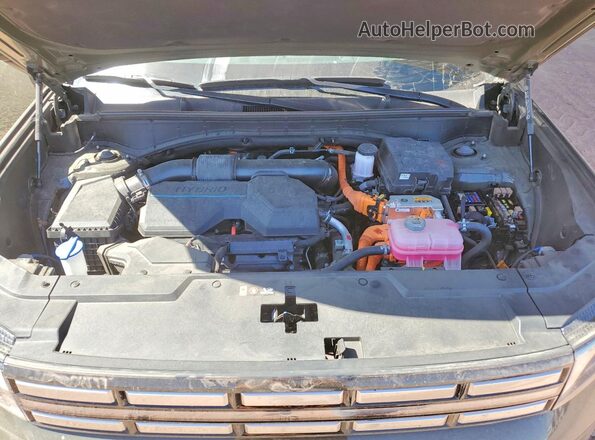 5NMP24G1XSH041060 2025 HYUNDAI SANTA Green Սալոնի հետևի տեսք