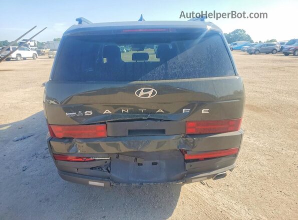 5NMP24GL1SH105813 2025 HYUNDAI SANTA Green Вид ззаду