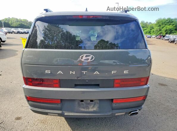 5NMP24GL5SH143657 2025 HYUNDAI SANTA Gray Widok z tyłu