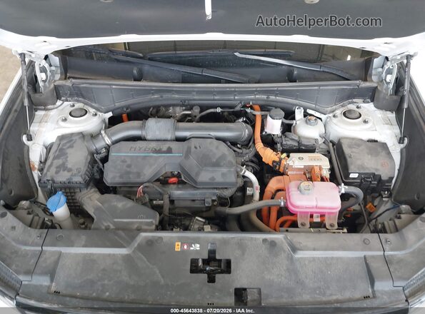 5NMP2DG11RH001489 2024 HYUNDAI SANTA FE HYBRID White უკანა ხედი