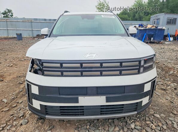 5NMP2DG13RH001235 2024 HYUNDAI SANTA White Vista frontal