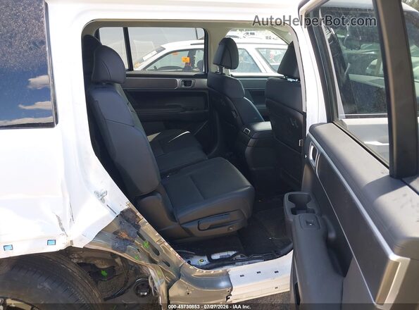 5NMP2DG13SH029087 2025 HYUNDAI SANTA FE HYBRID Белый Вид наклейки с VIN-кодом