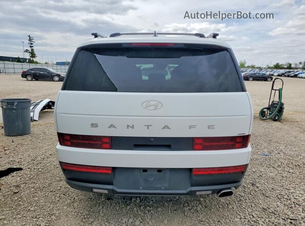 5NMP2DGL3SH099996 2025 HYUNDAI SANTA White Vista trasera