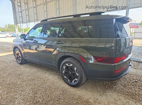 5NMP2DGL7SH110921 2025 HYUNDAI SANTA Зеленый Задняя левая четверть