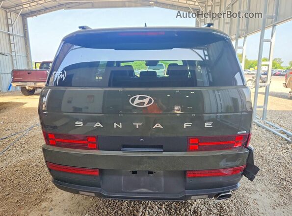 5NMP2DGL7SH110921 2025 HYUNDAI SANTA Зеленый Вид сзади