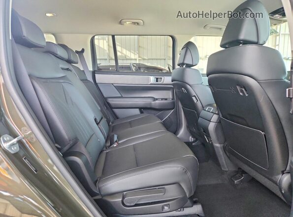 5NMP2DGL7SH110921 2025 HYUNDAI SANTA Зеленый Вид задней части салона