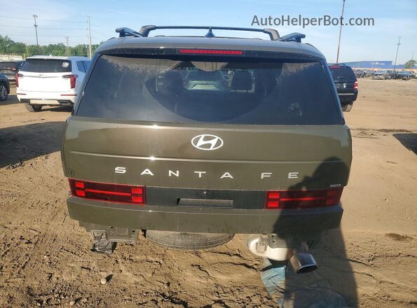 5NMP2DGL8SH137903 2025 HYUNDAI SANTA Green Vista trasera