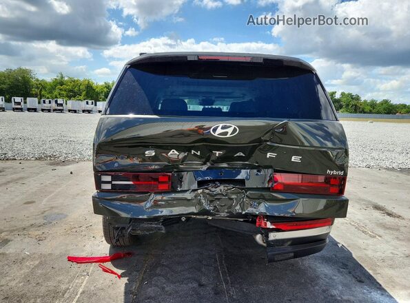 5NMP34G18SH058033 2025 HYUNDAI SANTA Green უკანა ხედი