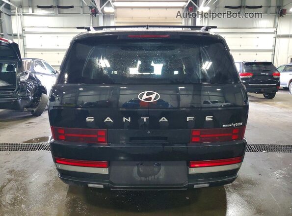 5NMP3DG16RH005888 2024 HYUNDAI SANTA Black Widok z tyłu