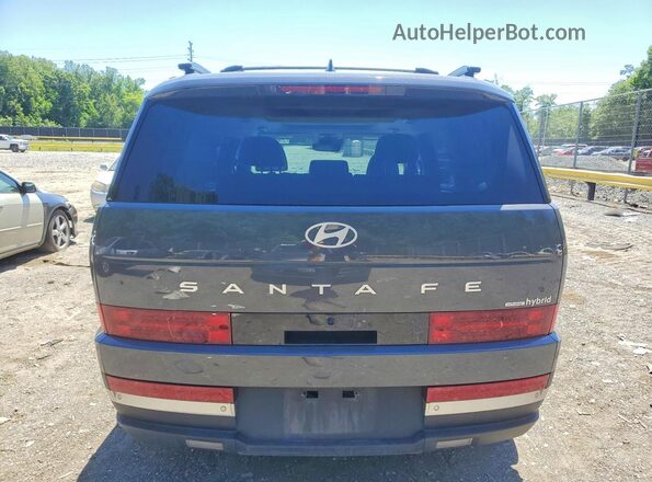 5NMP3DG17SH056385 2025 HYUNDAI SANTA Gray Widok z tyłu