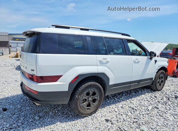 5NMP3DGL2SH084032 2025 HYUNDAI SANTA White უკანა მარჯვენა
