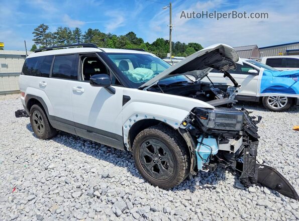 5NMP3DGL2SH084032 2025 HYUNDAI SANTA White წინა მარჯვენა
