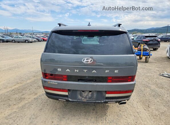 5NMP44GL2SH122176 2025 HYUNDAI SANTA Charcoal Rear view