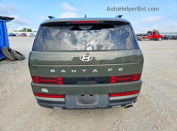 5NMP44GL6SH149235 2025 HYUNDAI SANTA Green უკანა ხედი