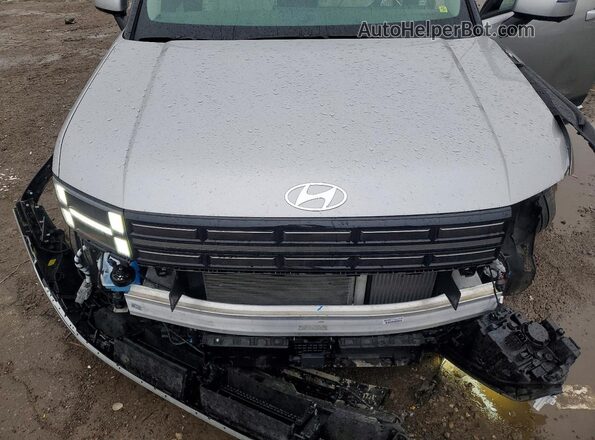 5NMP4DGL2RH065732 2024 HYUNDAI SANTA Silver Вид задньої частини салону