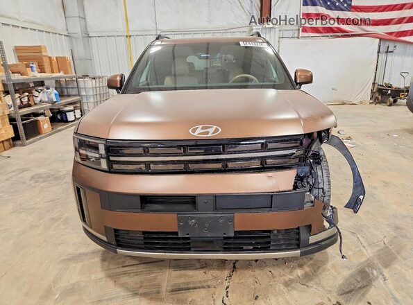5NMP4DGL8RH017491 2024 HYUNDAI SANTA Brown Vista frontal