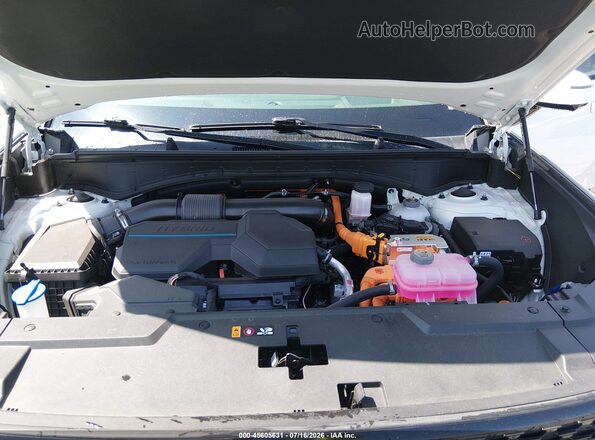 5NMP54G17RH004100 2024 HYUNDAI SANTA FE HYBRID White Widok z tyłu