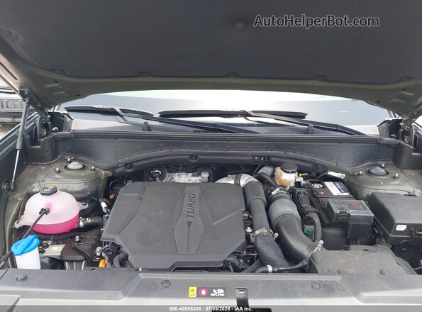 5NMP54GL3RH043946 2024 HYUNDAI SANTA FE Green Вид ззаду