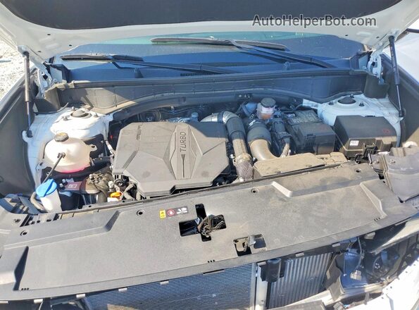 5NMP54GL4SH120992 2025 HYUNDAI SANTA White Շարժիչի բաժամունքի տեսք