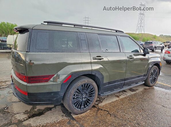 5NMP5DG10SH025439 2025 HYUNDAI SANTA Green Հետևի աջ