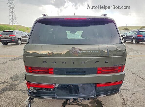 5NMP5DG10SH025439 2025 HYUNDAI SANTA Green Հետևի տեսք
