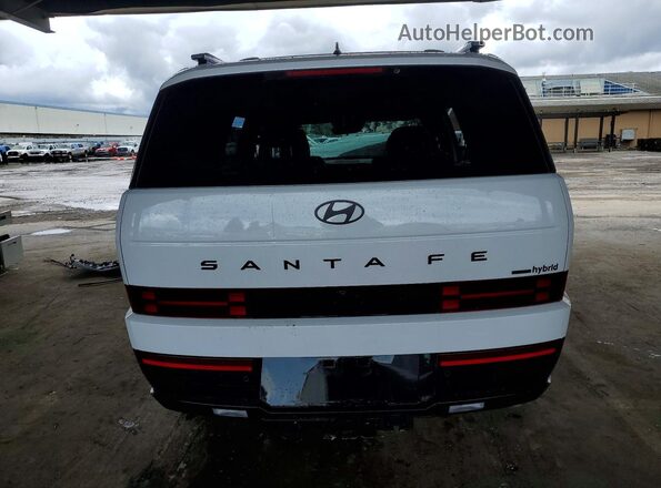 5NMP5DG12SH066896 2025 HYUNDAI SANTA White Հետևի տեսք