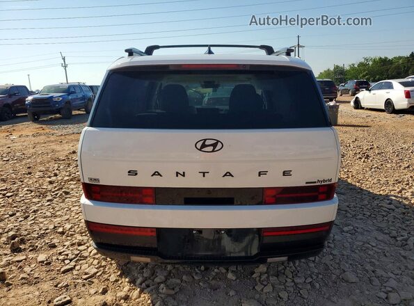5NMP5DG16SH048580 2025 HYUNDAI SANTA White Widok z tyłu