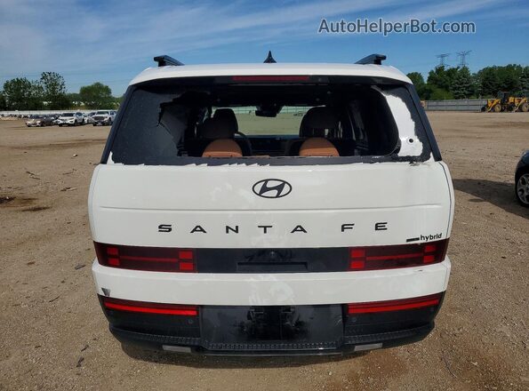 5NMP5DG17TH115589 2026 HYUNDAI SANTA Белый Вид сзади