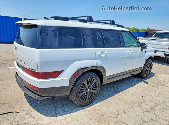 5NMP5DG19SH068712 2025 HYUNDAI SANTA White Задня права чверть