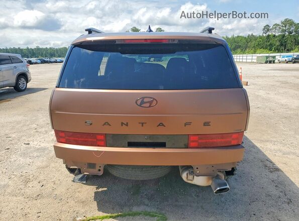 5NMP5DGL8RH044722 2024 HYUNDAI SANTA Brown Հետևի տեսք