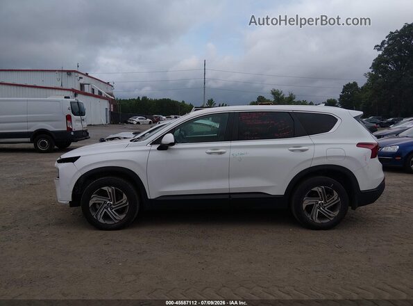 5NMS14AJ0PH653572 2023 HYUNDAI SANTA FE White სალონის 360-გრადუსიანი ხედი