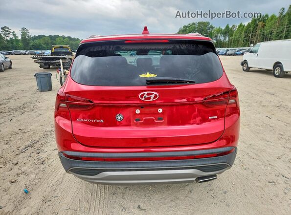 5NMS1DAJ1PH596542 2023 HYUNDAI SANTA Красный Вид сзади