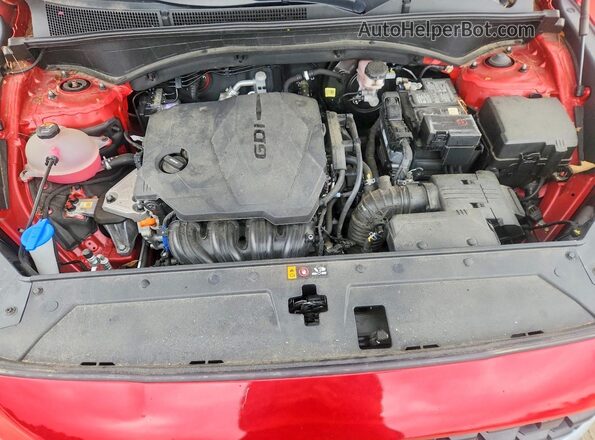 5NMS1DAJ1PH596542 2023 HYUNDAI SANTA Красный Вид задней части салона