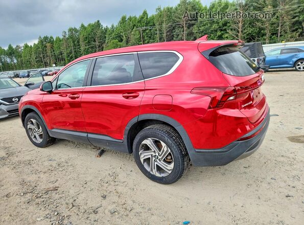 5NMS1DAJ1PH596542 2023 HYUNDAI SANTA Красный Задняя левая четверть
