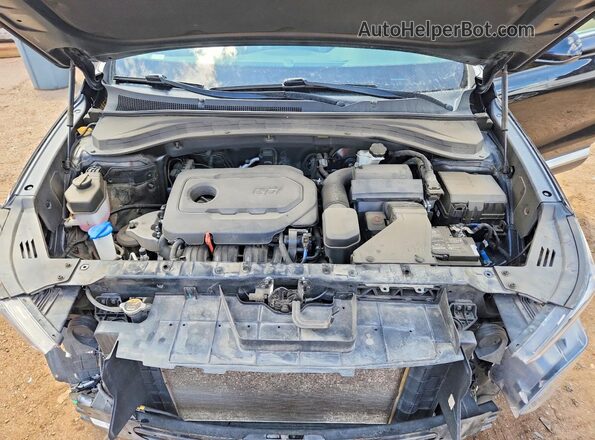 5NMS23AD1LH300821 2020 HYUNDAI SANTA Black Rear interior view