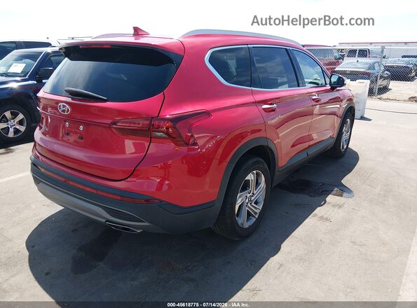5NMS24AJ8PH568282 2023 HYUNDAI SANTA FE Red Trasero derecho