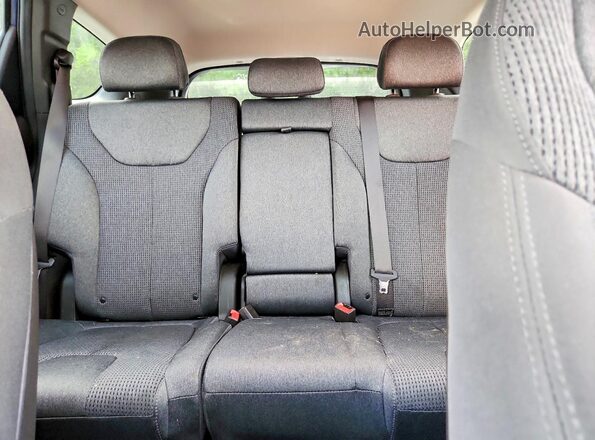 5NMS2CAD4KH113880 2019 HYUNDAI SANTA Blue Вид задніх сидінь