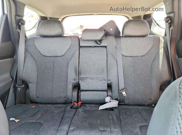 5NMS2CAD5LH156349 2020 HYUNDAI SANTA White Вид задніх сидінь