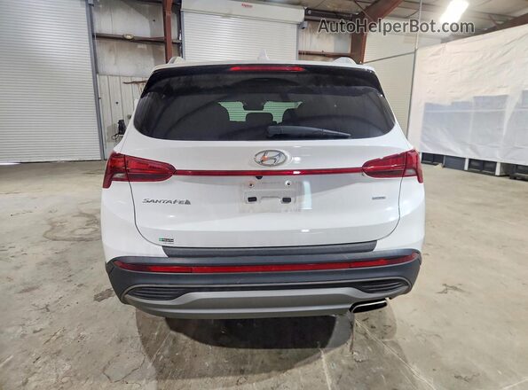 5NMS2DAJ0PH646215 2023 HYUNDAI SANTA White Հետևի տեսք