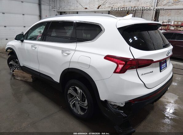 5NMS2DAJ3PH548506 2023 HYUNDAI SANTA FE Белый Задняя левая четверть