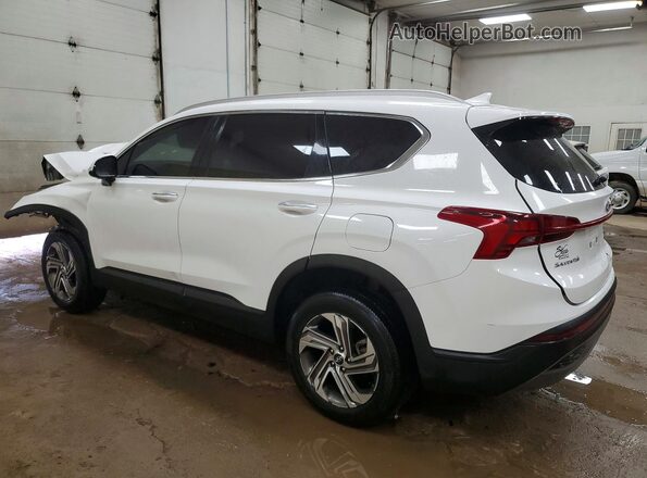 5NMS2DAJ6PH561282 2023 HYUNDAI SANTA Белый Задняя левая четверть