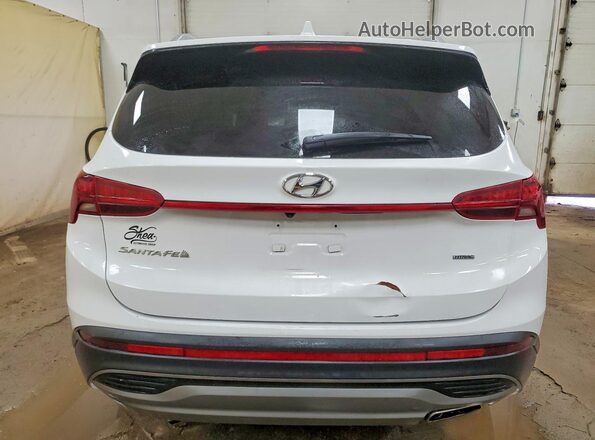 5NMS2DAJ6PH561282 2023 HYUNDAI SANTA Белый Вид сзади