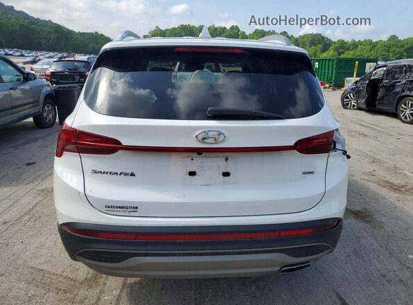 5NMS2DAJ6PH657770 2023 HYUNDAI SANTA White Widok z tyłu