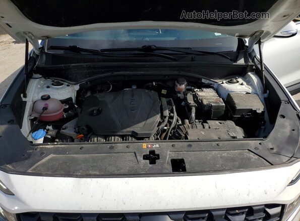 5NMS2DAJ6PH657770 2023 HYUNDAI SANTA White Widok komory silnika