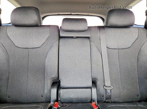 5NMS33AD8LH232871 2020 HYUNDAI SANTA Brown Vista de los asientos traseros