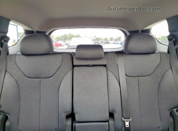 5NMS33ADXLH226831 2020 HYUNDAI SANTA Red Widok tylnych siedzeń