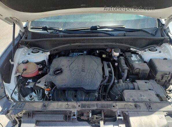 5NMS34AJ4MH334424 2021 HYUNDAI SANTA White Սալոնի հետևի տեսք