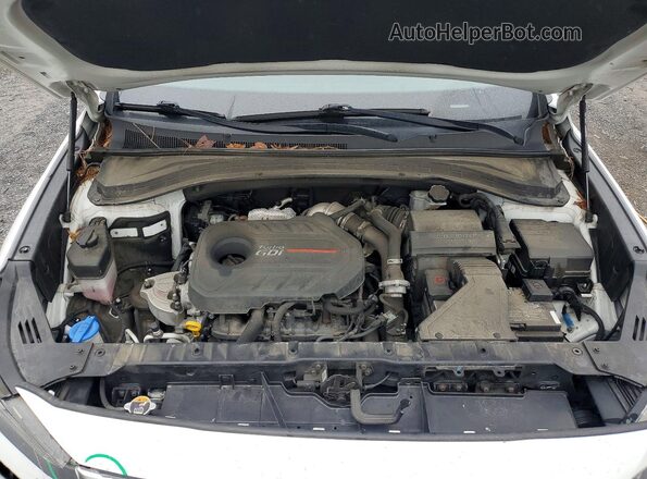 5NMS3CAA2LH299679 2020 HYUNDAI SANTA White Vista del compartimento del motor